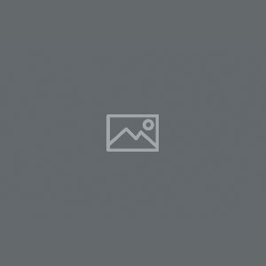 Housing and Transactional Law
