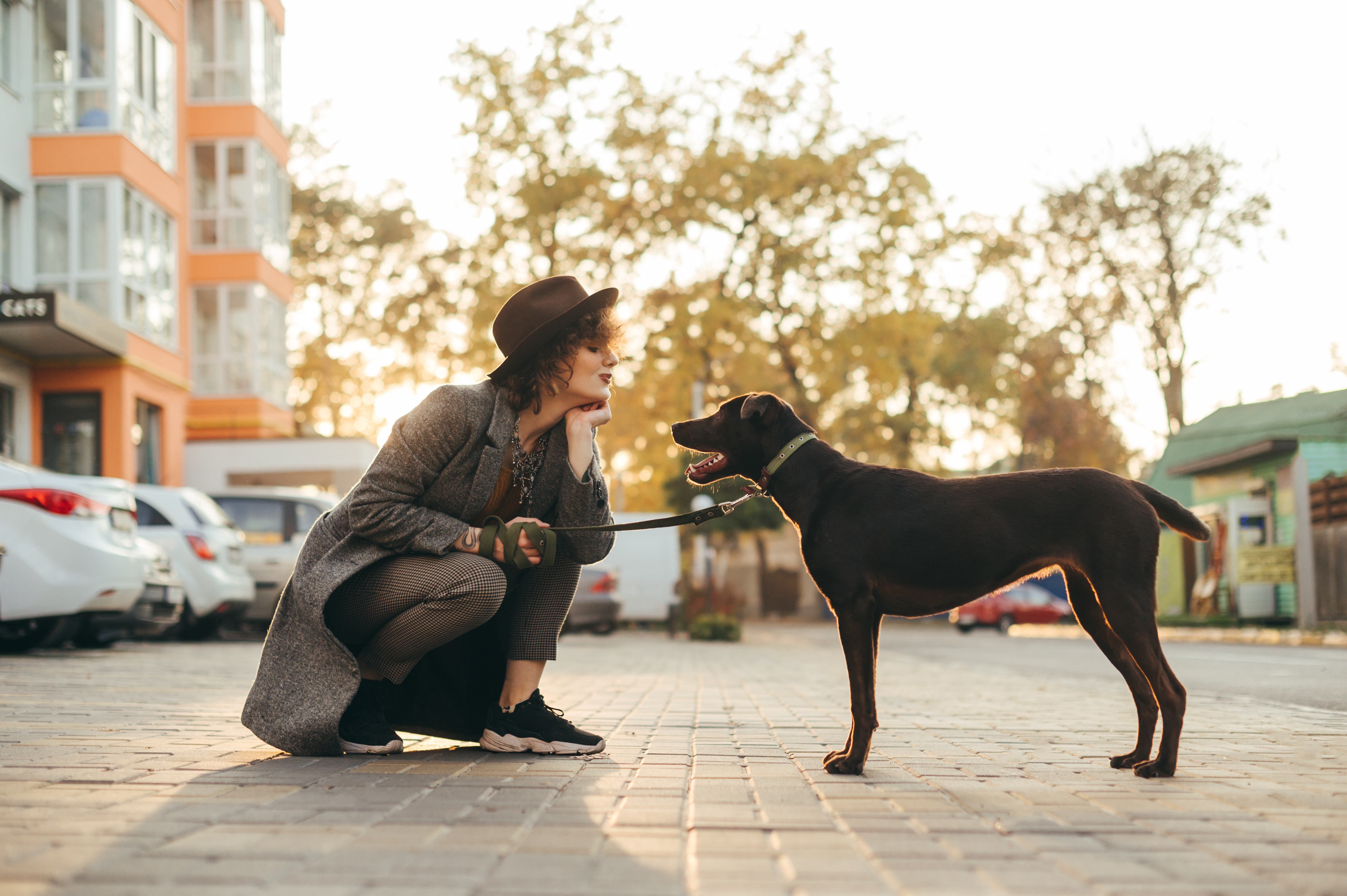 Beautiful girl in stylish clothes and hat playing with dog on street background at sunset. Stylish girl with curly hair sits near a puppy dog and smiles.